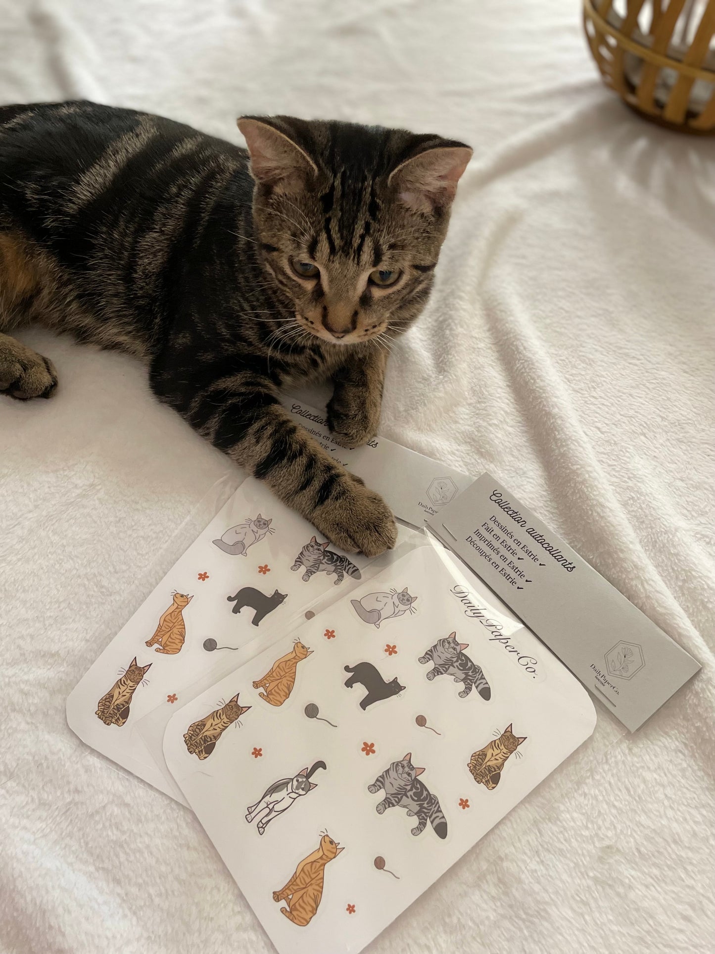 cat sticker sheet